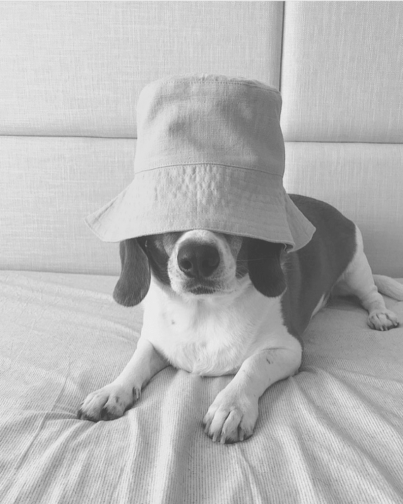 Gullit wears our Alba Bucket Hat
